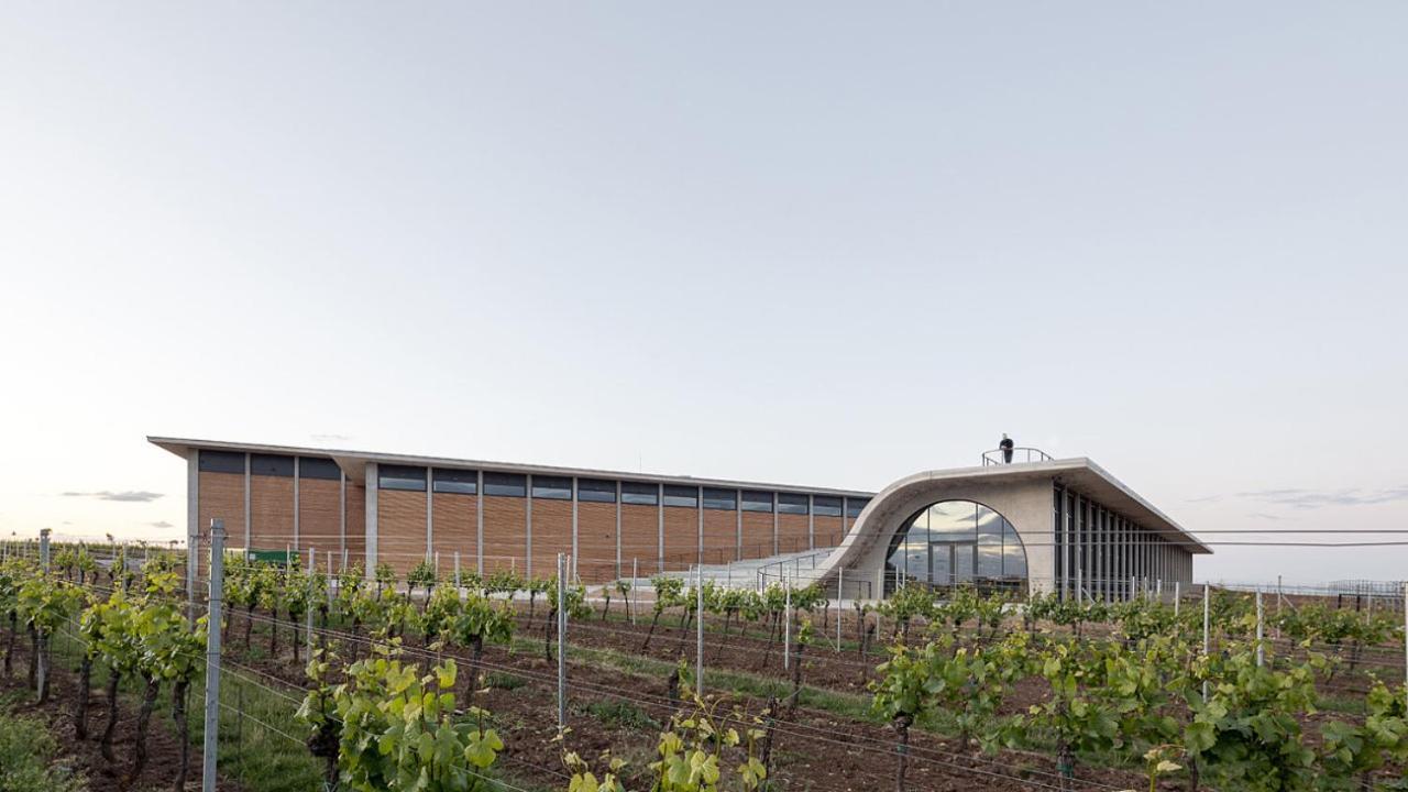 Villa Wine House Znojmo Exterior foto